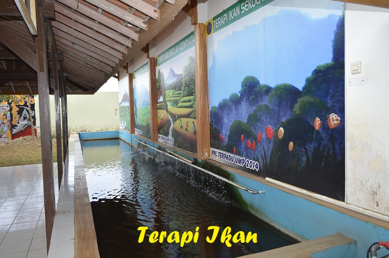 Tempat Relaksasi Ikan