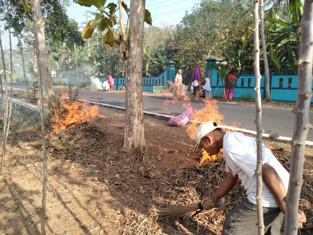 Pembakaran Sampah Organik