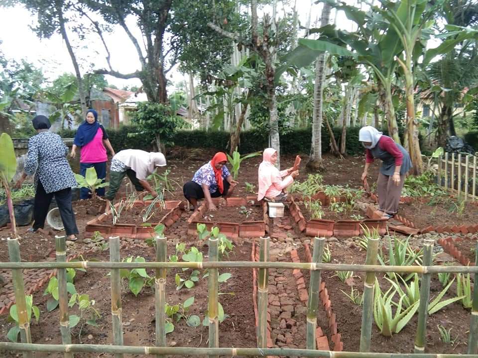 Pengelolaan kebun TOGA di Karanggedang