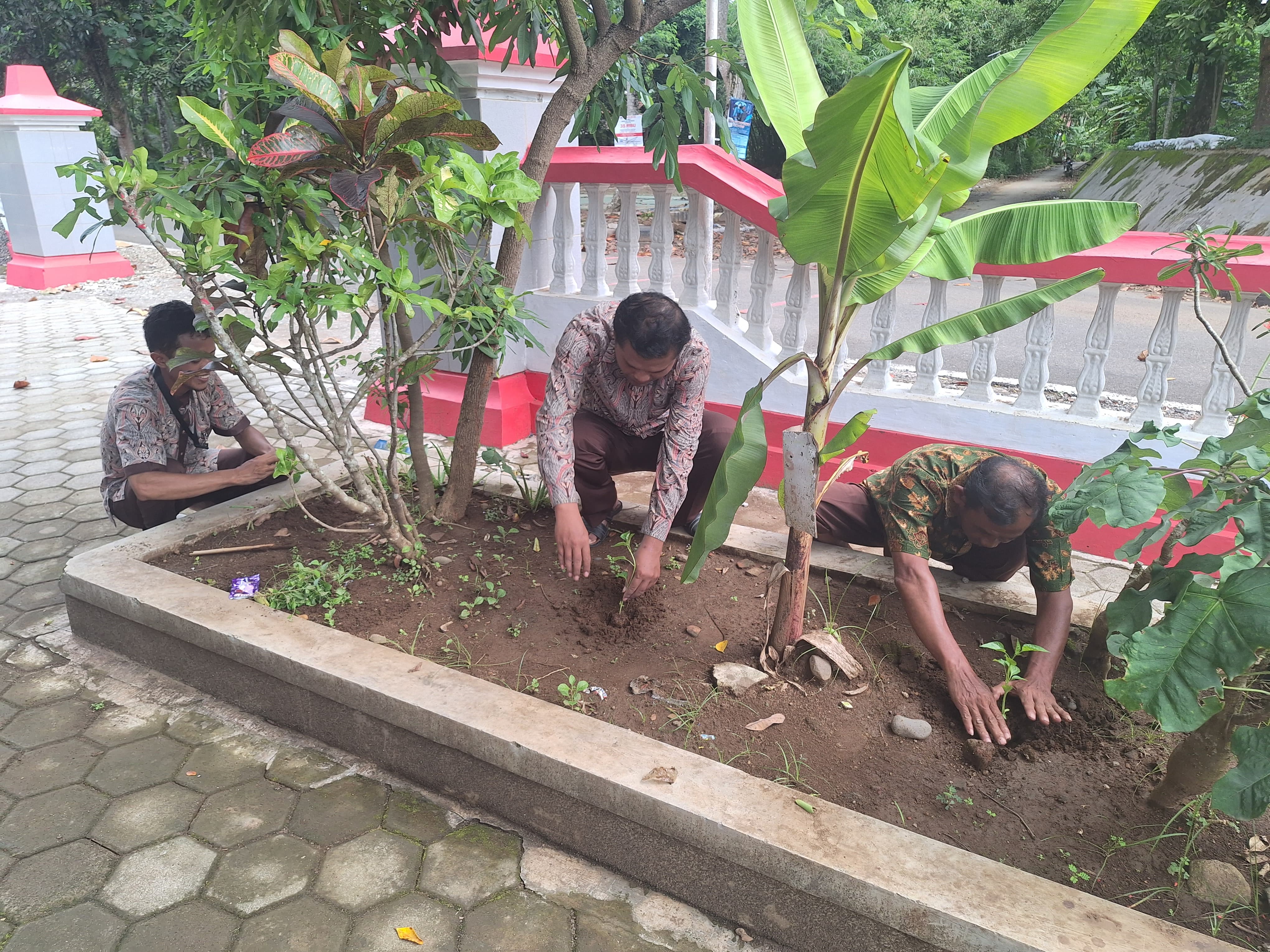 Tanam Cabe Serentak di Desa Karanggedang