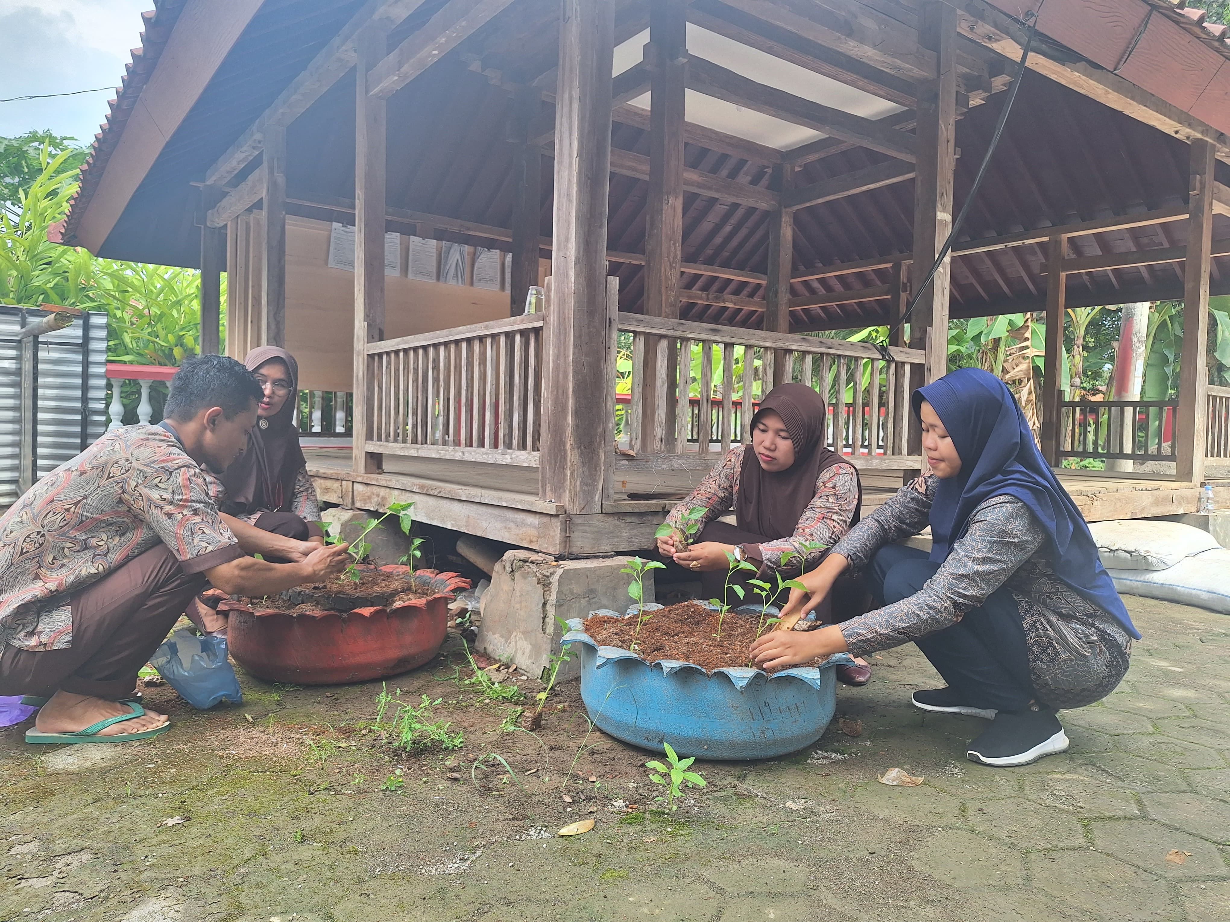 Tanam Cabe Serentak di Desa Karanggedang