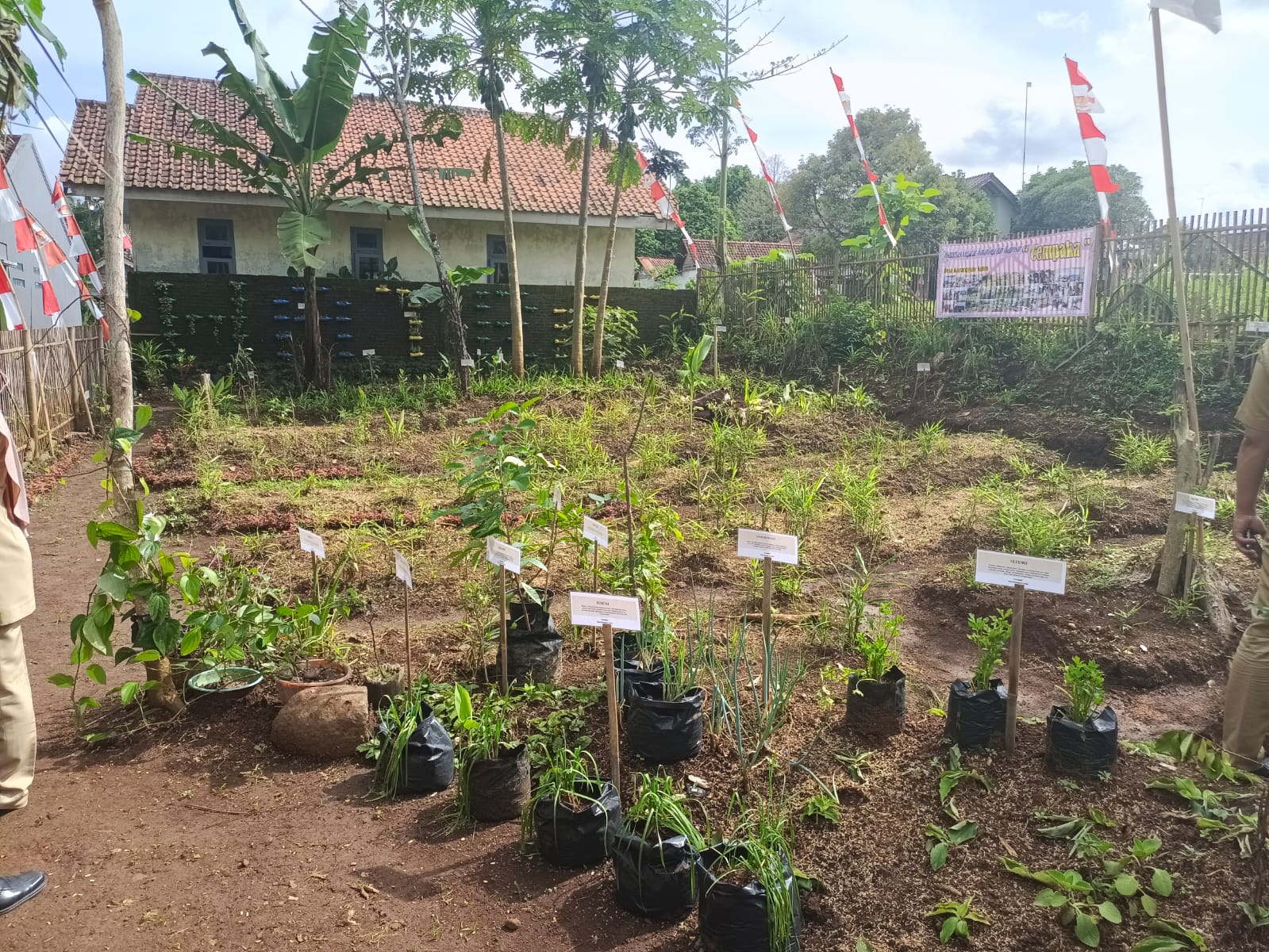 Taman Asman Toga Cempaka