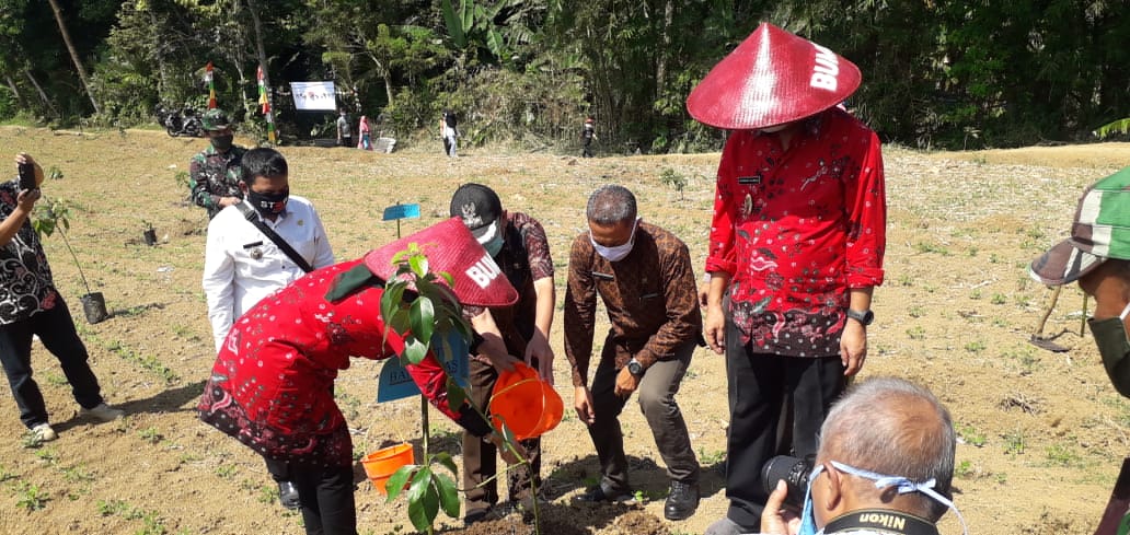 Penanaman pohon oleh bapak bupati banyumas