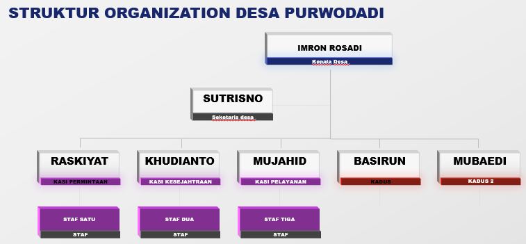 Struktur organisasi desa