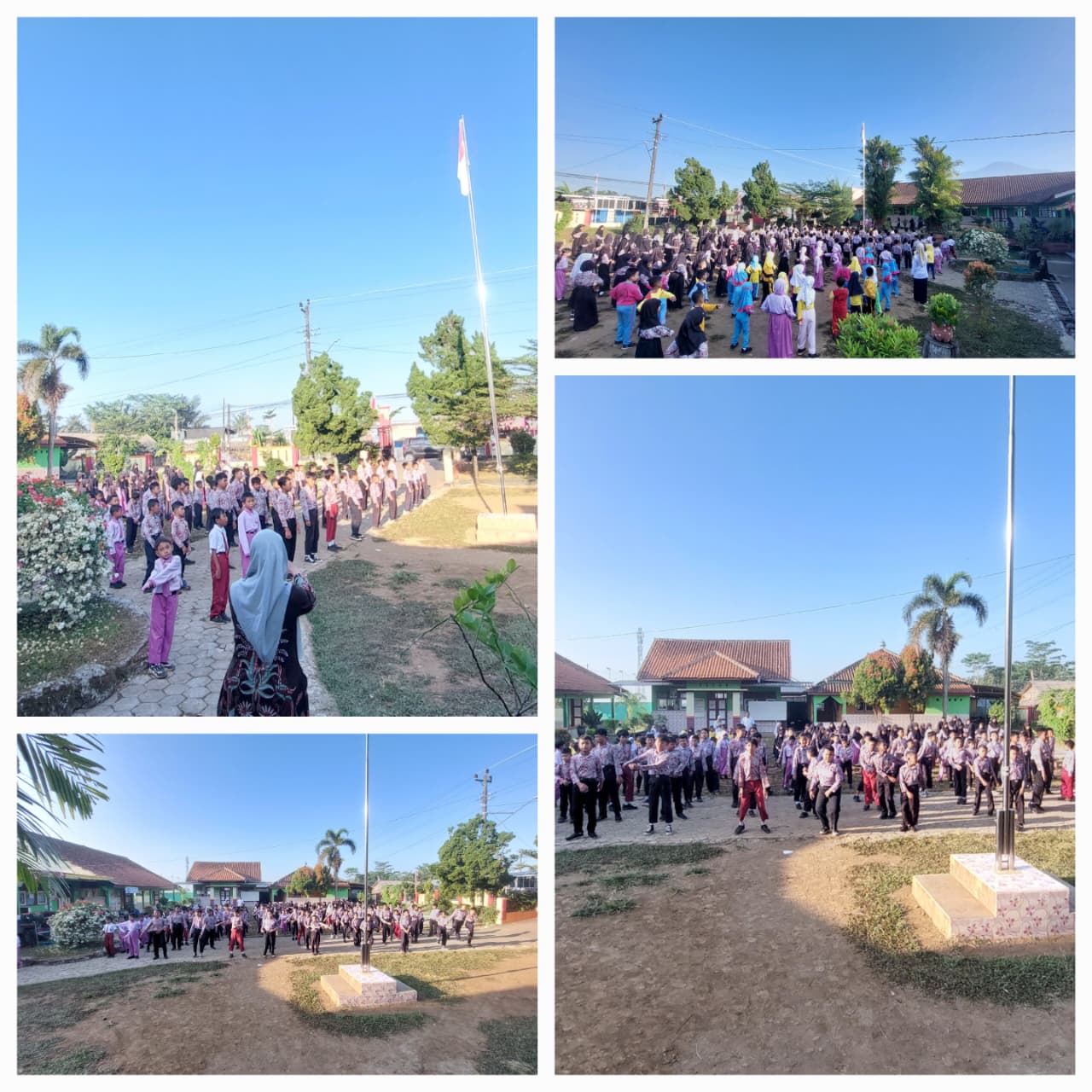 kolase senam pagi