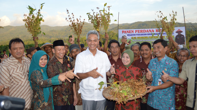 Gubernur dan Bupati Panen Kedelai di Srowot