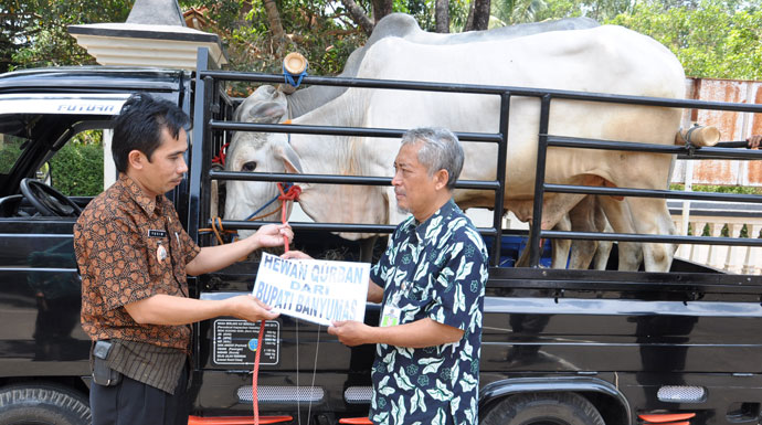 Pemkab Banyumas Bagi 3 Ekor Sapi Qurban