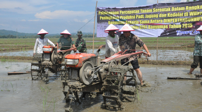 Banyumas Targetkan 393.910 Ton Padi Tahun 2015