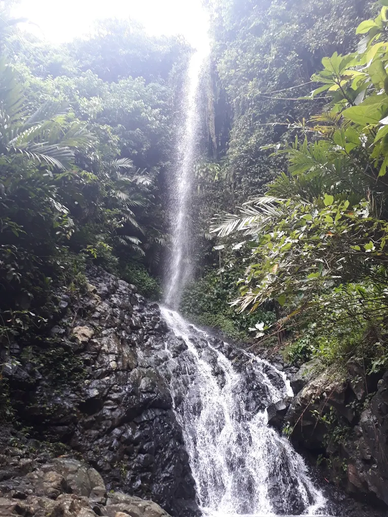 Curug Bunglon