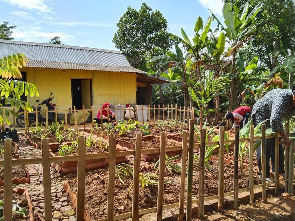 Kebun Tanaman Obat Keluarga di Desa Karanggedang