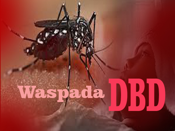 KEWASPADAAN TERHADAP DEMAM BERDARAH DENGUE