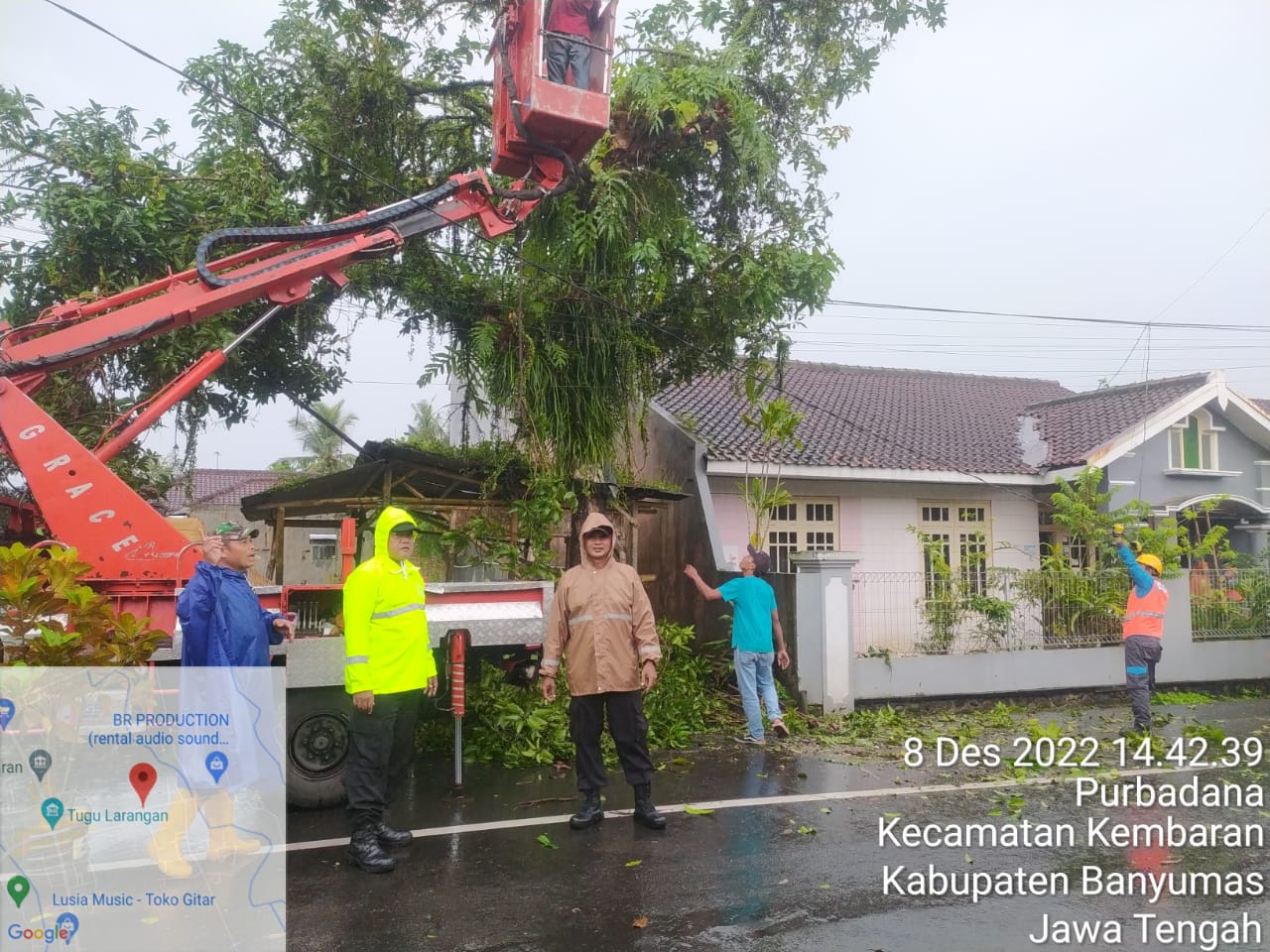 Pohon Tumbang Timpa Kabel Listrik Desa Purbadana