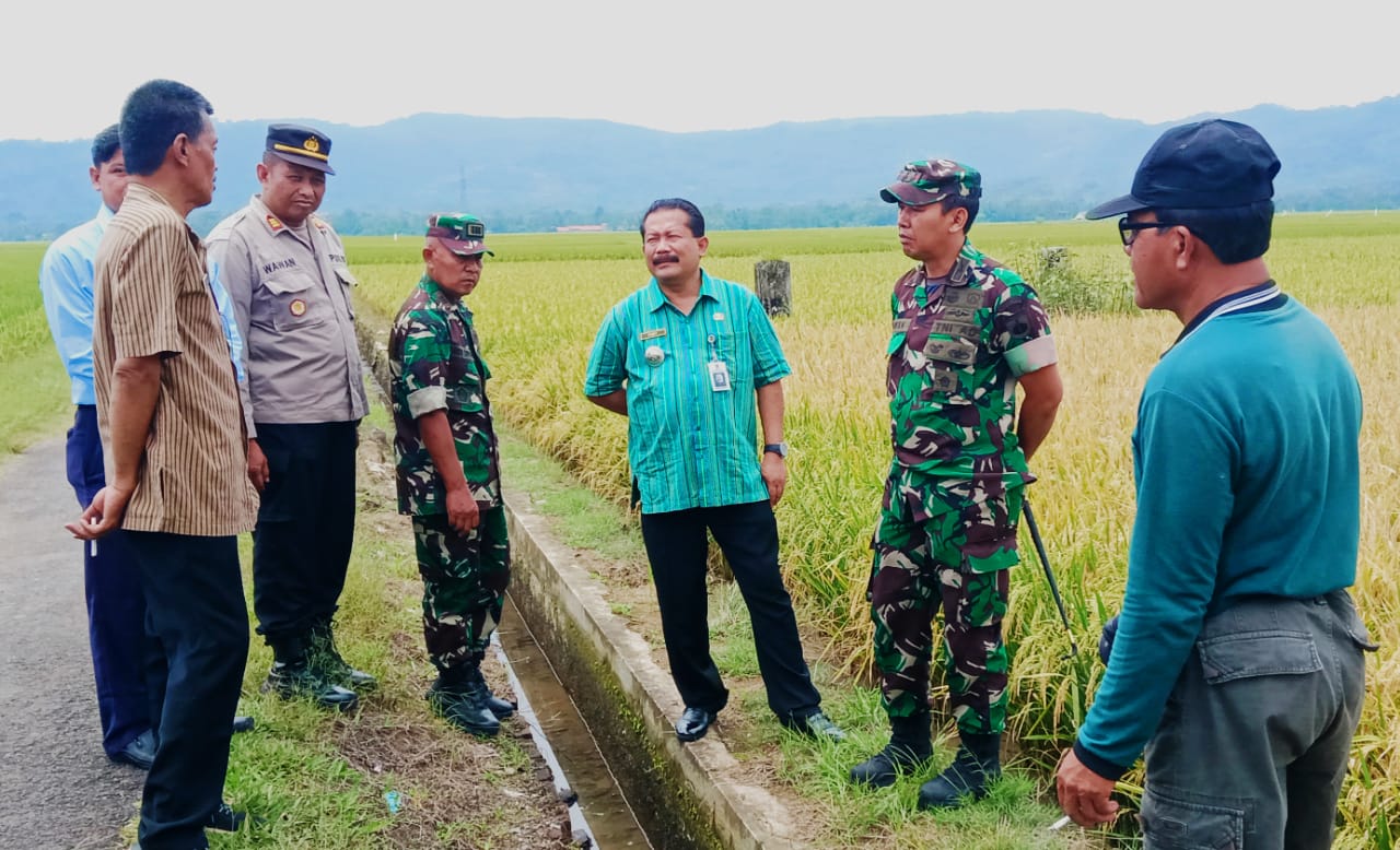 Kunjungan Dandim ke lokasi pertanian desa Tinggarjaya 