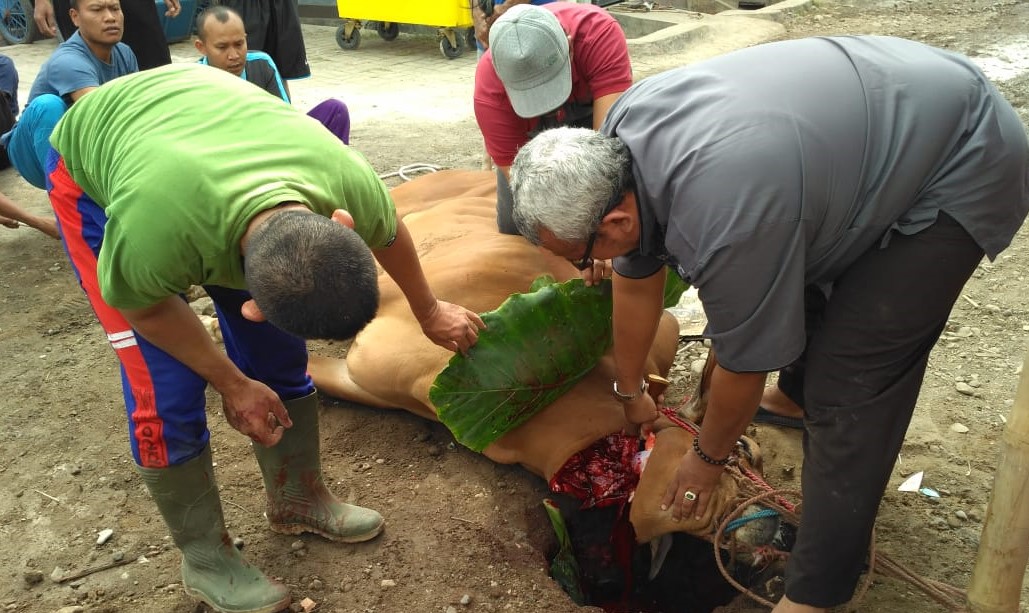 SEBERAPA BESAR CINTA KITA KEPADA ALLAH DIWUJUDKAN DALAM BERKURBAN