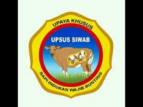 KEGIATAN UPSUS SIWAB (UPAYA KHUSUS SAPI INDUKAN WAJIB BUNTING) KABUPATEN BANYUMAS