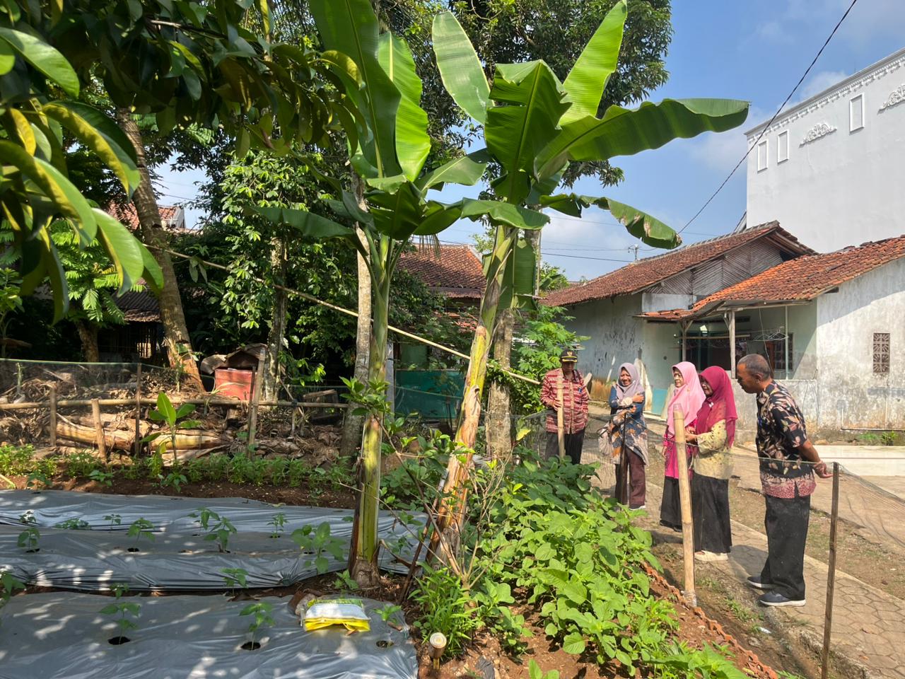 Monitoring KWT Mekar Tanjung, Kecamatan Purwokerto Selatan Dorong Penguatan Pemberdayaan Masyarakat