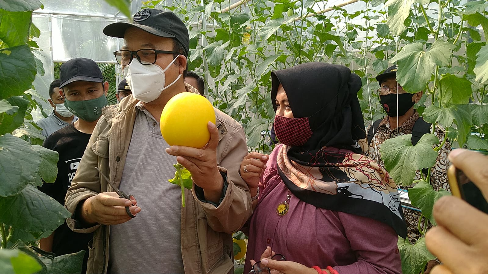 Tinjauan Pohon Melon Hidroponik Bersama Bupati Banyumas Di Purwojati