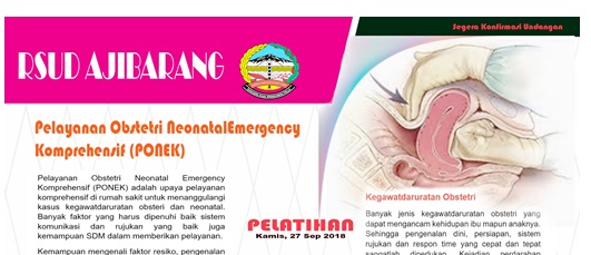 Pelatihan Ponek Terintegrasi