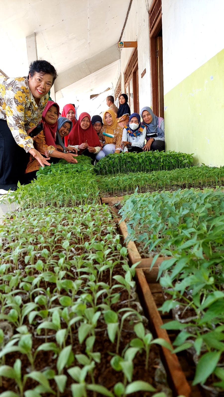 Pemanfaatan Pekarangan Budidaya Sayur