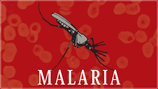 Kenali Malaria Sebelum Terlambat