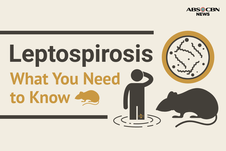 Leptospirosis