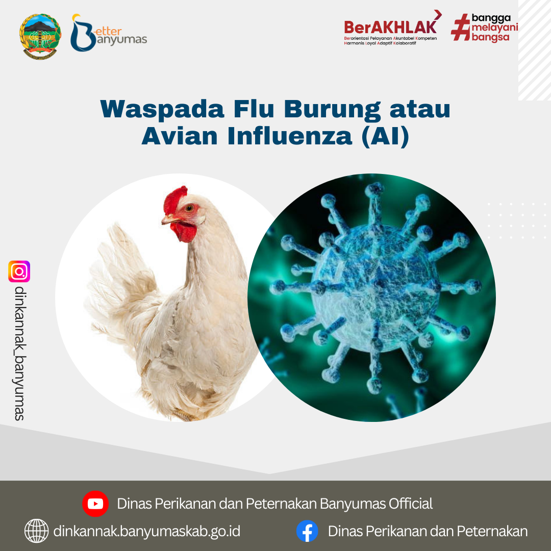 Waspada Flu Burung atau Avian Influenza (AI)