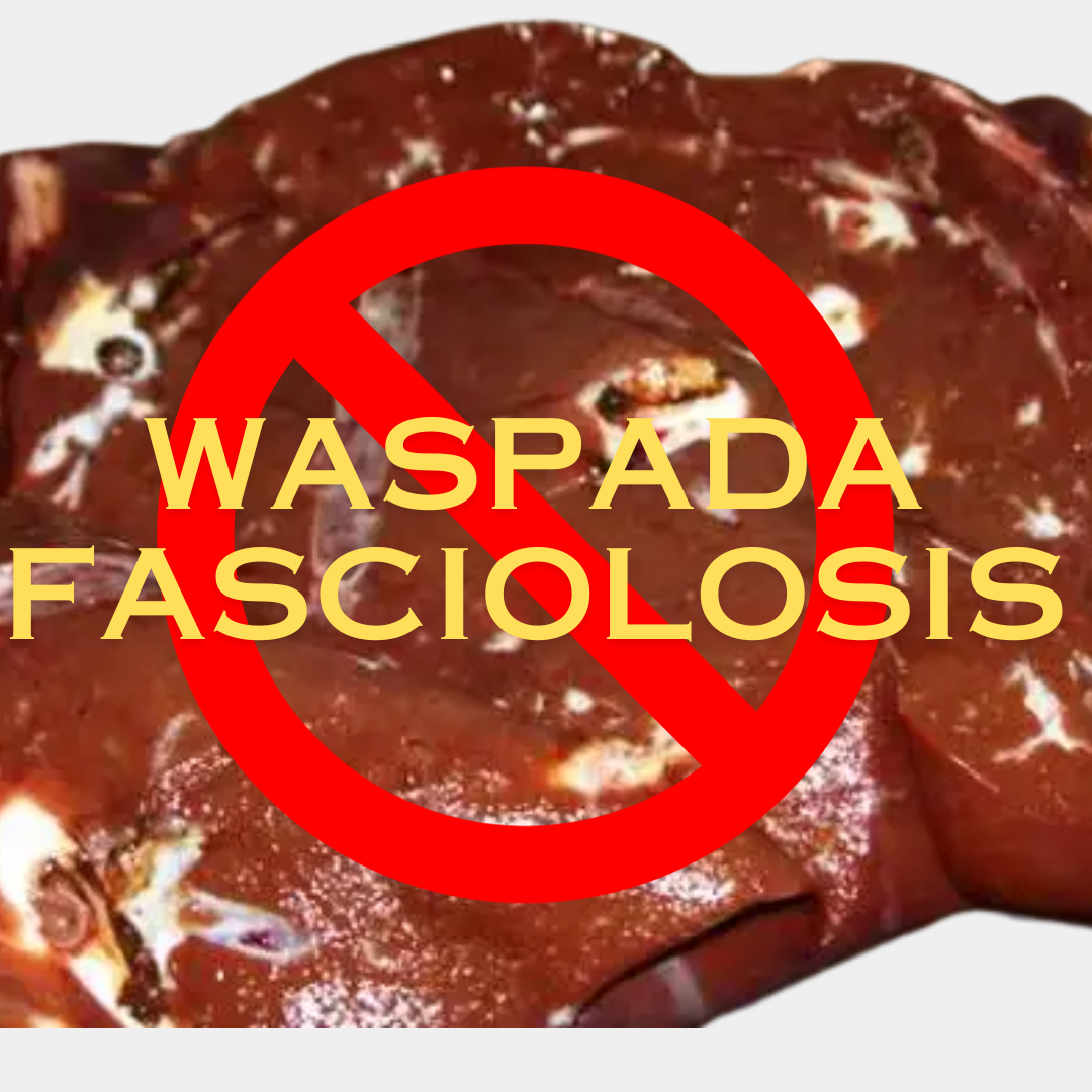 WASPADA FASCIOLOSIS