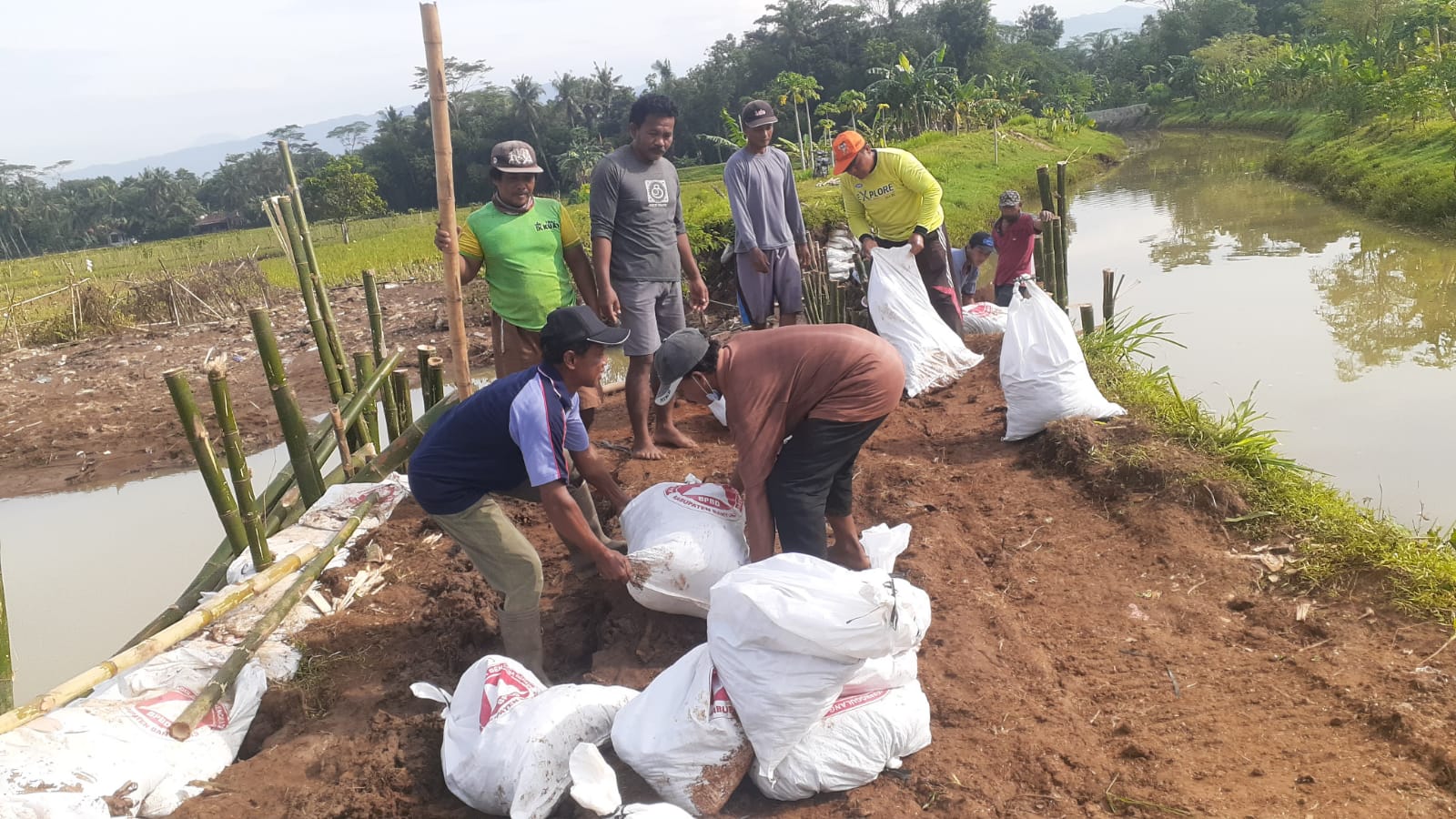 semangat warga menangani tanggul dadal