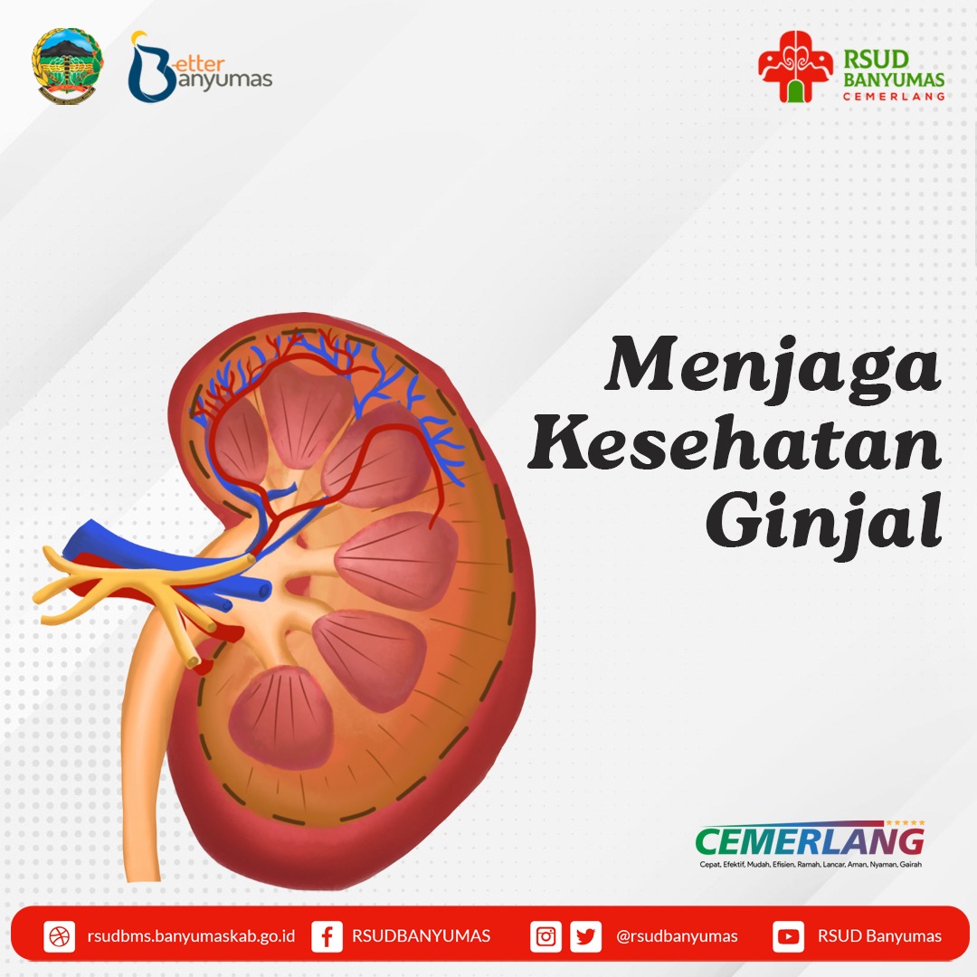 Menjaga Kesehatan Ginjal