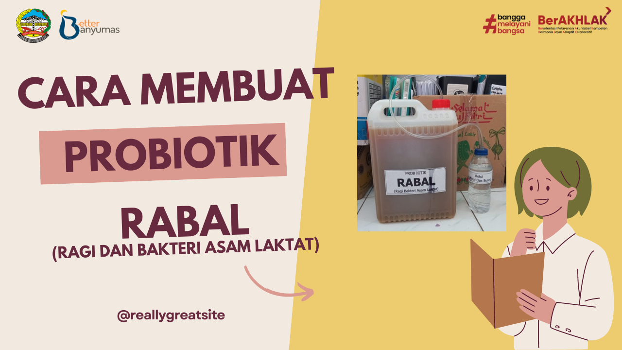 PROBIOTIK RABAL (Ragi dan Bakteri Asam Laktat)