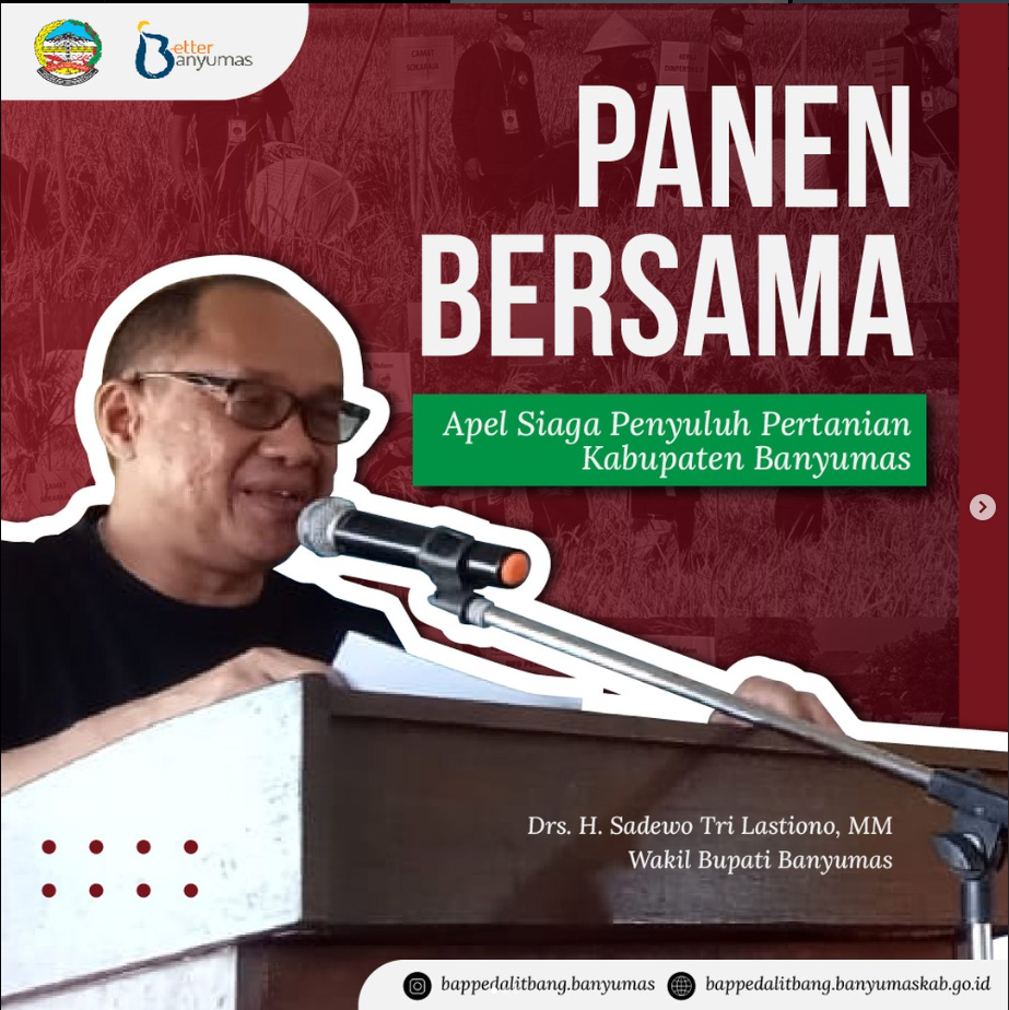 PANEN BERSAMA APEL PENYULUH PERTANIAN KABUPATEN BANYUMAS