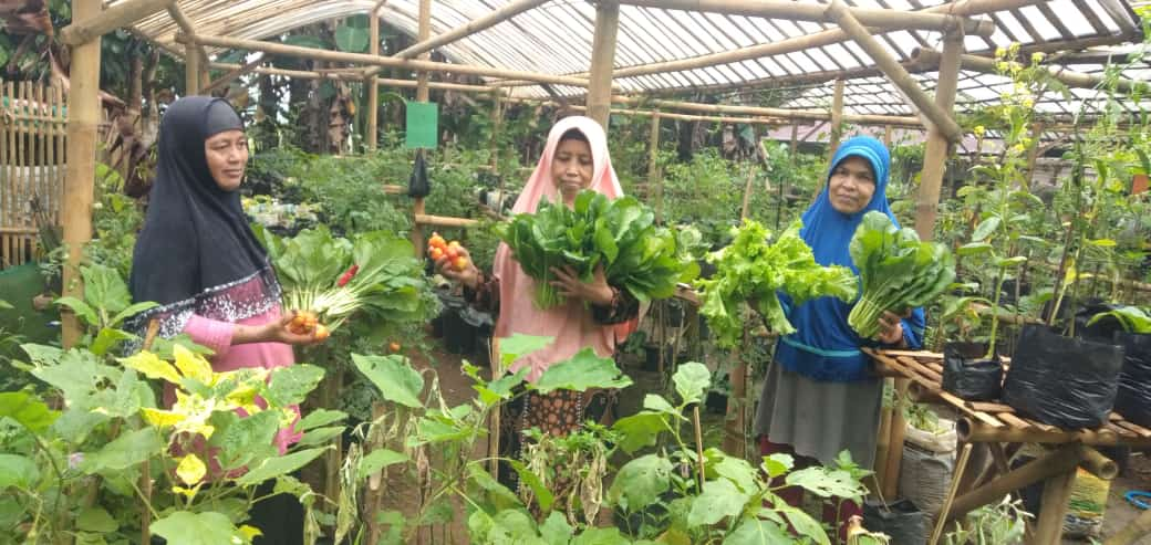 Desa Wisata Pesona Kejawar