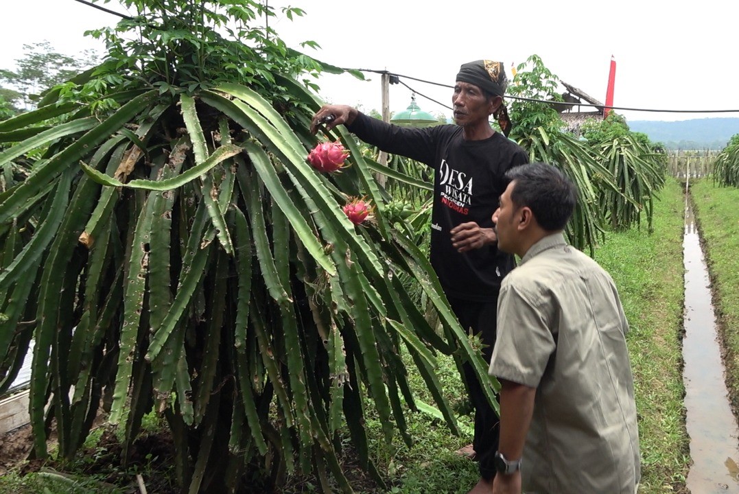Desa Wisata Pekunden