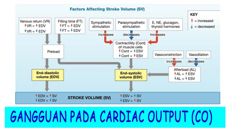 REFERAT: GANGGUAN PADA CARDIAC OUTPUT (CO)