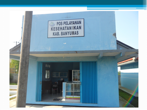 PELAYANAN POSIKANDU